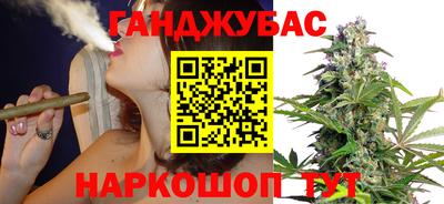 сатива Малгобек