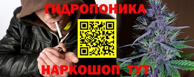 сатива Малгобек