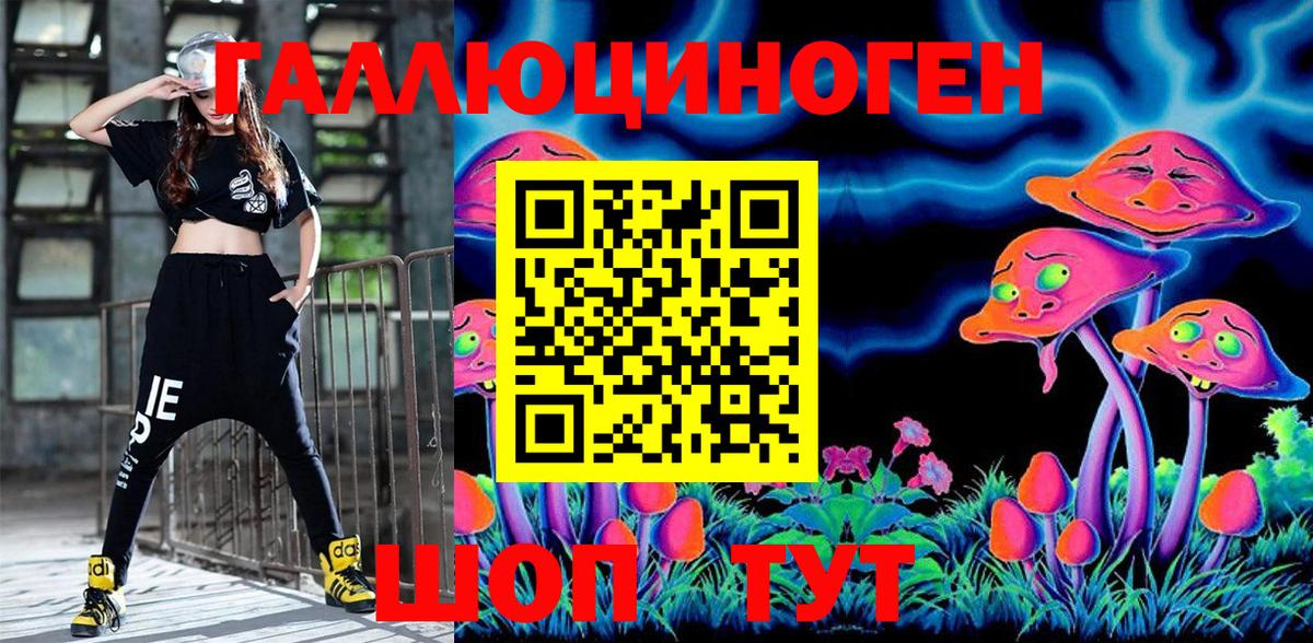 Псилоцибиновые грибы мицелий Унеча
