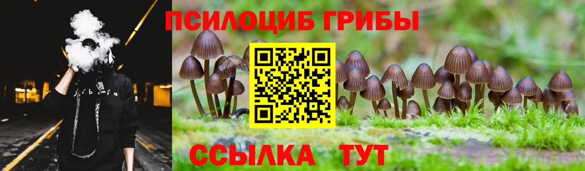 Псилоцибиновые грибы Magic Shrooms  Галлюциногенные грибы прущие грибы  Вход с VPN  Унеча 
